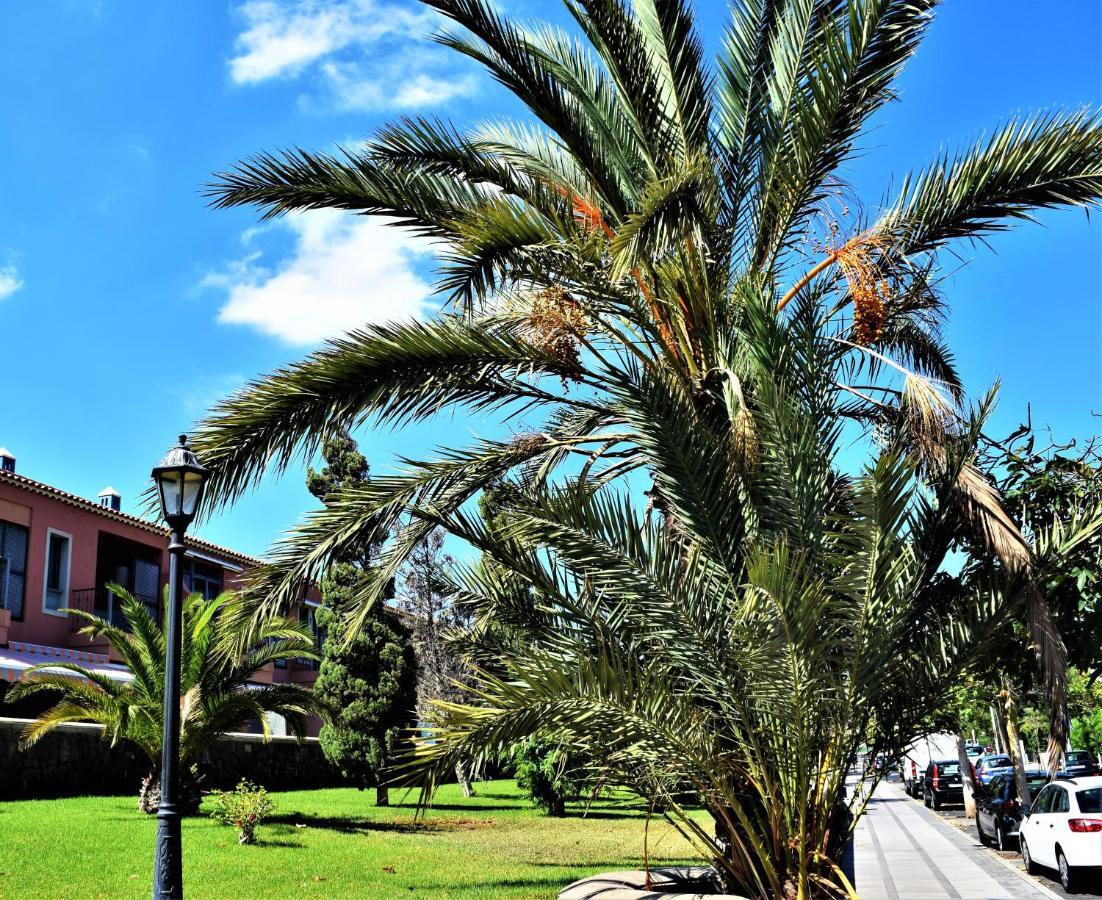 Victoria Family Apartman Tenerife Costa del Silencio Eksteriør billede